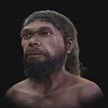 Aproksimasi Wajah Digital dari Tengkorak Komposit Jebel Irhoud (~315.000 Tahun yang Lalu). (MDPI Heritage)