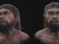 Aproksimasi Wajah Digital dari Tengkorak Komposit Jebel Irhoud (~315.000 Tahun yang Lalu). (MDPI Heritage)