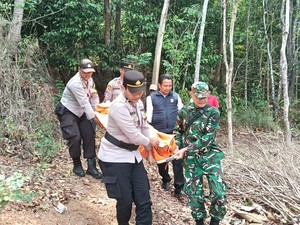 Nenek 70 Tahun di Dlingo Bantul Tewas Terjatuh dari Pohon Melinjo