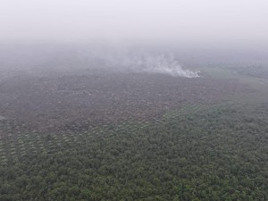 Hujan Turun di Wilayah Karhutla OKI, Muara Enim Masih Berasap
