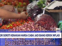 Mendagri Soroti Kenaikan Harga Cabai Jadi Biang Kerok Inflasi