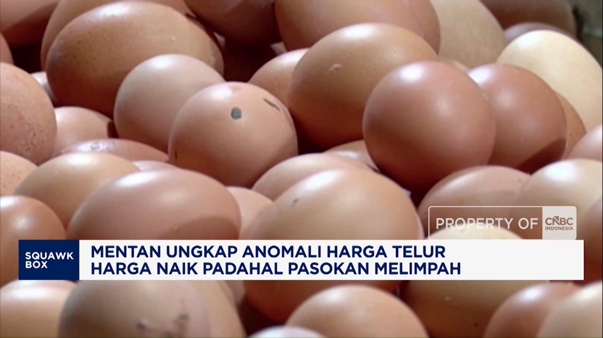 Video: Mentan Soal Anomali Harga Telur, Harga Naik Meski Stok Melimpah