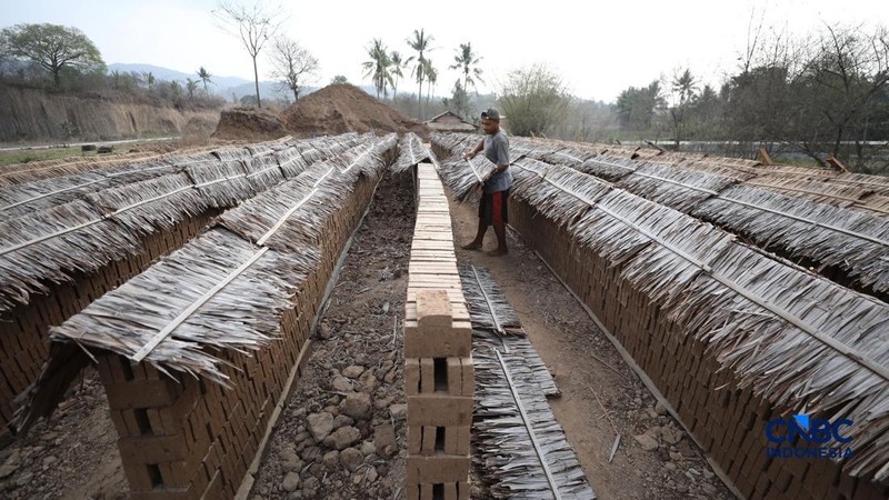 Pekerja menjemur batu bata merah di Kampung Setu, Kecamatan Wariginkurung, Searng, Banten, Minggu (25/10/2026). Usaha pembuatan bata merah yang dijual seharga Rp260/buah kini menjadi kegiatan ekoniomi produktif bagi sebagian warga Serang. (CNBC Indon