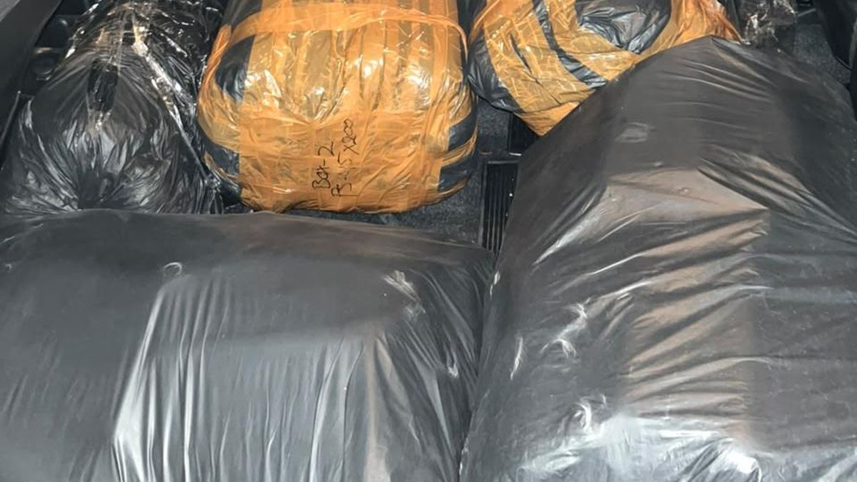 Polres Lebak Gagalkan Penyelundupan 32 Ribu Benih Lobster, 1 Orang Ditangkap — NadiKabar.com