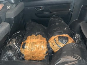Polres Lebak Gagalkan Penyelundupan 32 Ribu Benih Lobster, 1 Orang Ditangkap