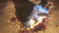 Pria di Way Kanan Lampung Ditemukan Tewas dengan Luka di Sekujur Tubuh