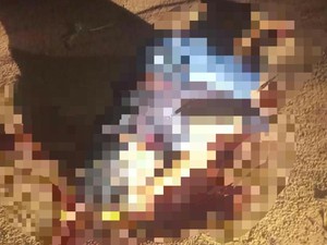 Pria di Way Kanan Lampung Ditemukan Tewas dengan Luka di Sekujur Tubuh