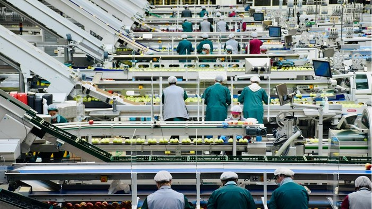 Bangkitnya Manufaktur, dari Pemulihan Pandemi hingga Penguatan Ekonomi — NadiKabar.com