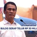 Bulog Serap Telur Rp 30 Miliar