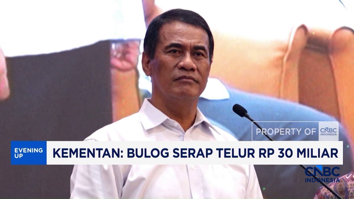 Video: Bulog Serap Telur Rp 30 Miliar