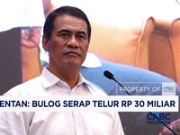 Bulog Serap Telur Rp 30 Miliar