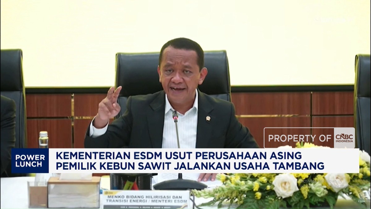ESDM Usut Perusahaan Asing Pemilik Kebun Sawit Jalankan Usaha Tambang
