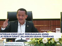 ESDM Usut Perusahaan Asing Pemilik Kebun Sawit Jalankan Usaha Tambang