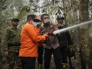 Karhutla di TNBS dan Tahura Jambi Belum Tuntas