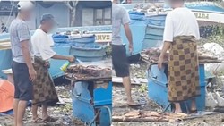 Ikan Asin Disemprot Baygon Bisa Tinggalkan Residu, Pakar Ingatkan Bahayanya