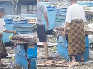 Ikan Asin Disemprot Baygon Bisa Tinggalkan Residu, Pakar Ingatkan Bahayanya