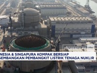 Indonesia dan Singapura Kompak Bersiap Mengembangkan PLTN