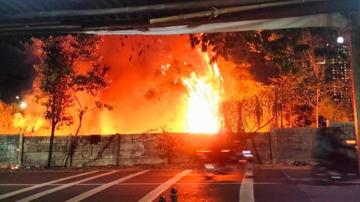 Lahan Ilalang Kebakaran di Pinggir Tol Kembangan Jakbar — NadiKabar.com