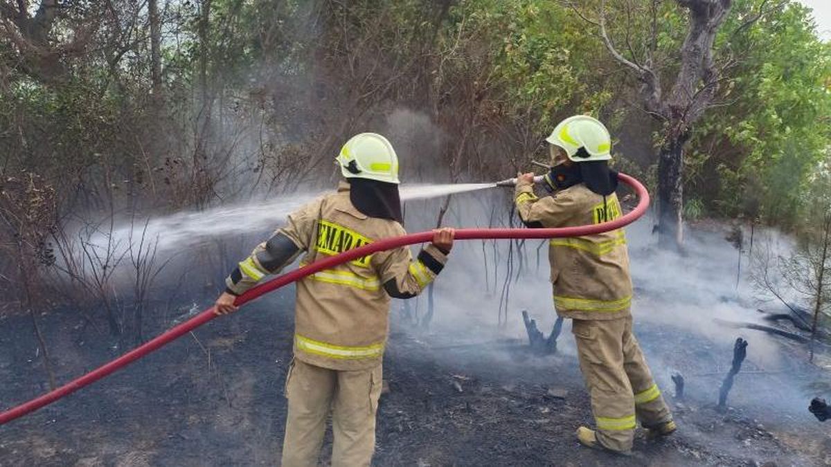Lahan di Pulau Tidung Kepulauan Seribu Terbakar, Dipicu Puntung Rokok — NadiKabar.com
