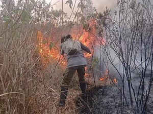 Sempat Padam, TN Way Kambas Kembali Terbakar