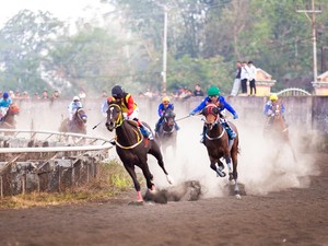 Sulawesi Utara Juara Umum Kejurnas Pacuan Kuda PORDASI 2026