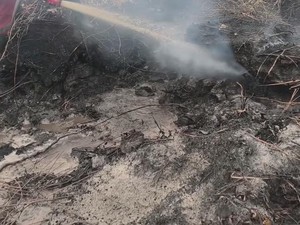 Video: Hujan Tak Padamkan Bara Api di Lahan Gambut Palangka Raya