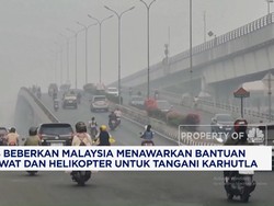 BNPB: Malaysia Menawarkan Bantuan Helikopter Untuk Tangani Karhutla