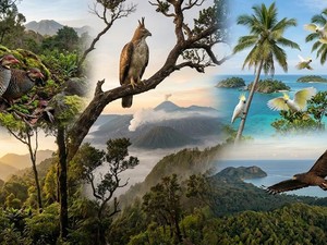 4 Burung Endemik Jawa Timur, Ada Elang Langka dari Bawean