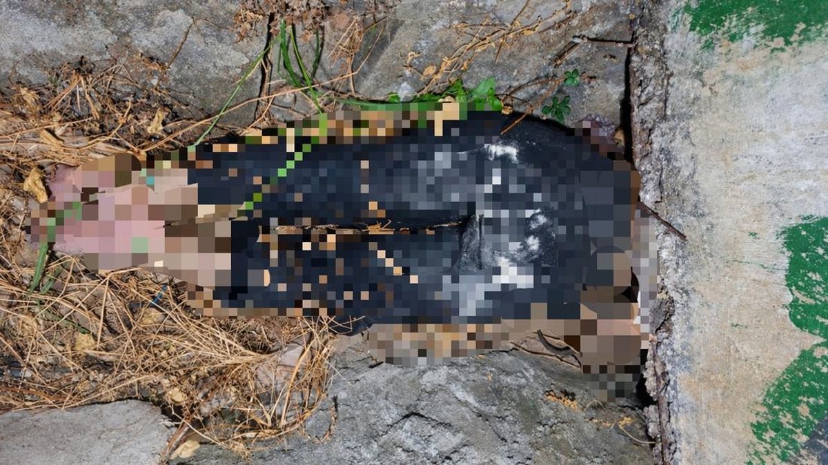 Wanita di Bandar Lampung Tewas Terikat dalam Parit, Ada Luka Cekik di Leher — NadiKabar.com