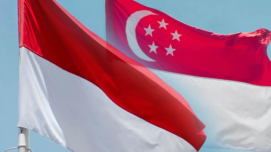 Kolase Bendera Indonesia dan Bendera Singapura. (Dok. Pexels)