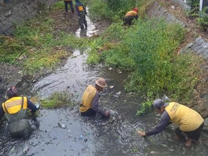 Begini Siasat Pemkab Lamongan Cegah Banjir Jelang Musim Hujan