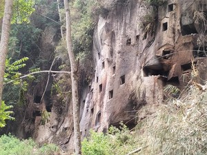 270 Bodies in North Toraja Stone Graves Scorched by Wildfire