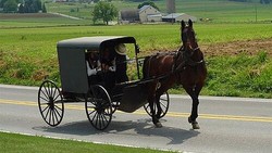 Bill Gates Ramal Orang Bakal Hidup seperti Kaum Amish Gegara AI