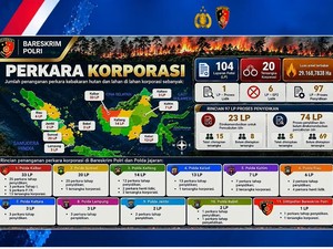 Daftar 20 Korporasi Tersangka Karhutla, 4 dari Malaysia hingga Singapura