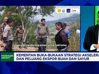 Proyek HDDAP Raih Pinjaman Rp 1,8 Triliun, Hilirisasi Jahe  Kunyit Cs Dikebut