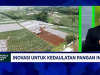 5 Strategi BRMP Kementan Pastikan Benih Padi Unggul Sukses Bantu Petani Sejahtera