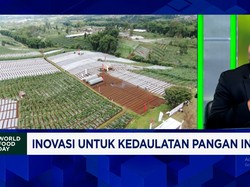 5 Strategi BRMP Kementan Pastikan Benih Padi Unggul Sukses Bantu Petani Sejahtera