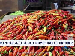 cabai