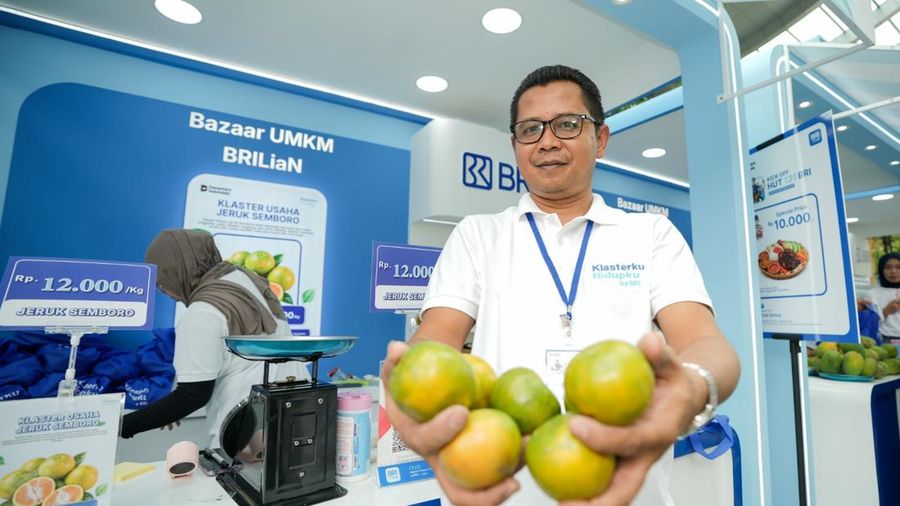 Dok BRI