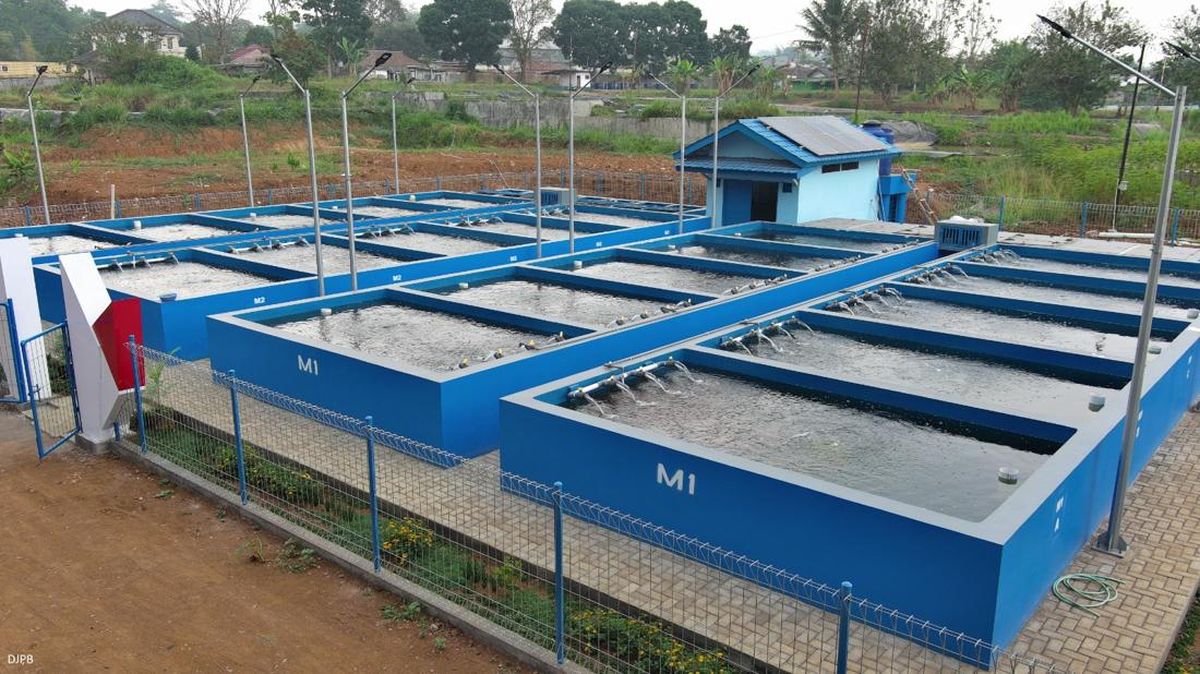 KKP Siapkan 76 Lokasi Budi Daya Ikan Tematik di Yogyakarta — NadiKabar.com
