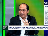 : Inovasi Benih Padi BRMP Mektan, Kuat di Lahan Kering - Toleran Rawa Mineral