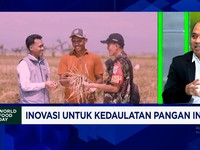 Kolaborasi Kemenko Pangan - Kementan Pangkas Impor Pangan & Ajak Anak Muda Jadi Petani