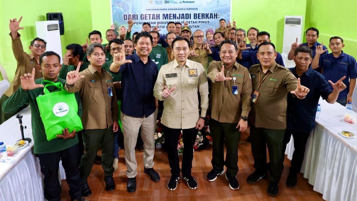 Ibas Dorong Hilirisasi Getah Pinus untuk Tingkatkan Ekonomi Ponorogo — NadiKabar.com