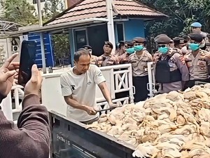 Ribuan Ayam Mati, Peternak Lempar Bangkai ke PLN Palangka Raya