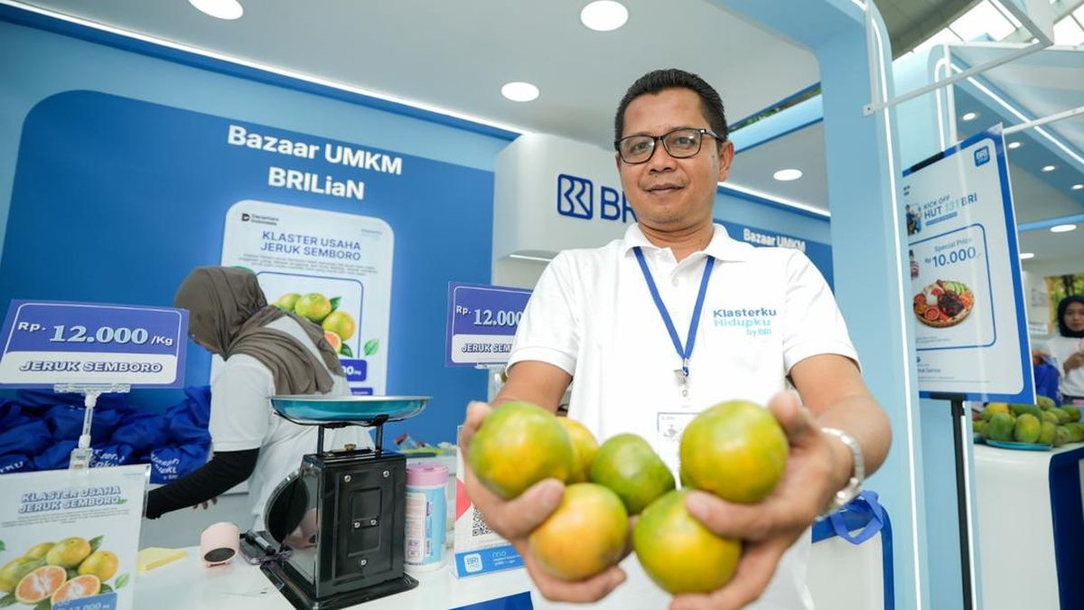 Dukungan Kredit BRI Bantu Kembangkan Usaha Jeruk Warga Jember — NadiKabar.com