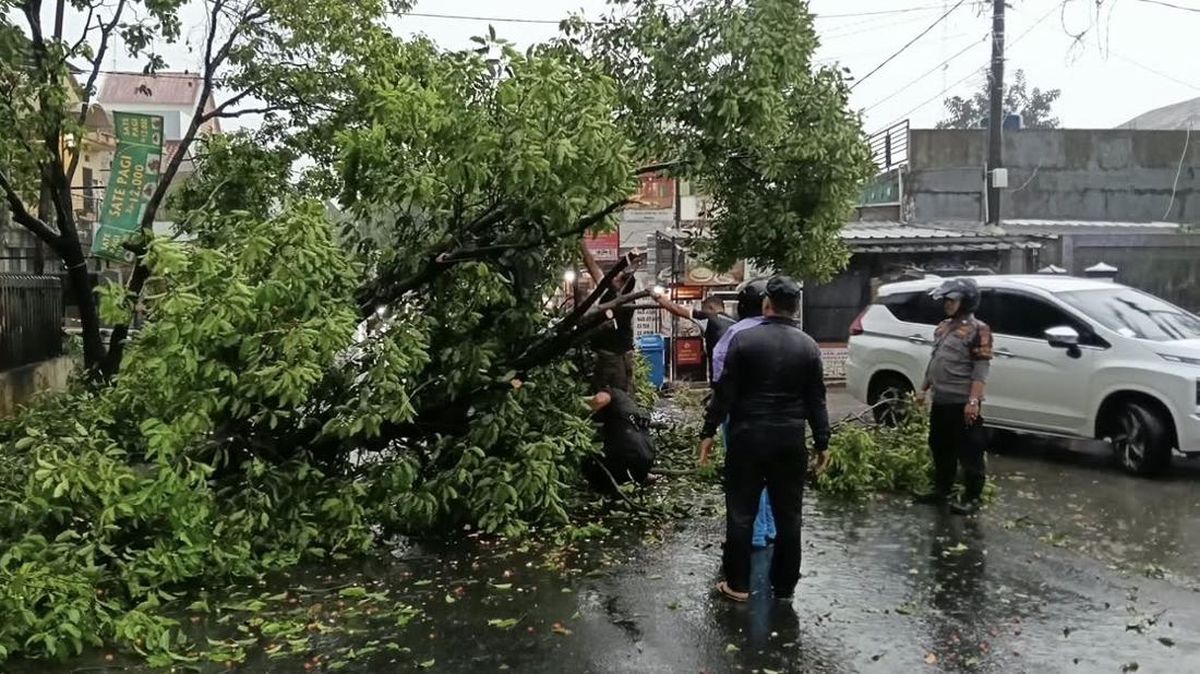 Hujan Deras, Pohon Tumbang Sempat Bikin Lalin di Jl Radar Auri Depok Macet — NadiKabar.com
