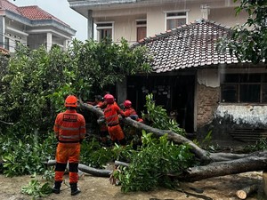 Pohon Tumbang Timpa Rumah dan Kabel Listrik Imbas Hujan Deras di Bogor