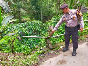 Motor Tabrak Pembatas Jembatan di Marga Tabanan, Satu Tewas Tenggelam
